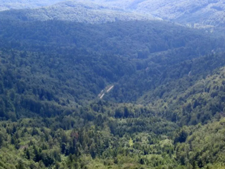 Bieszczady 2007 – Rabia Skała – Kremenaros – Wlk. i Mł. Rawka – 29 07 2007, zdjęcie 24