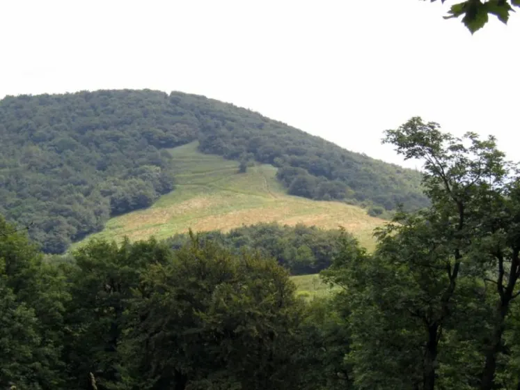 Bieszczady 2007 – Rabia Skała – Kremenaros – Wlk. i Mł. Rawka – 29 07 2007, zdjęcie 26