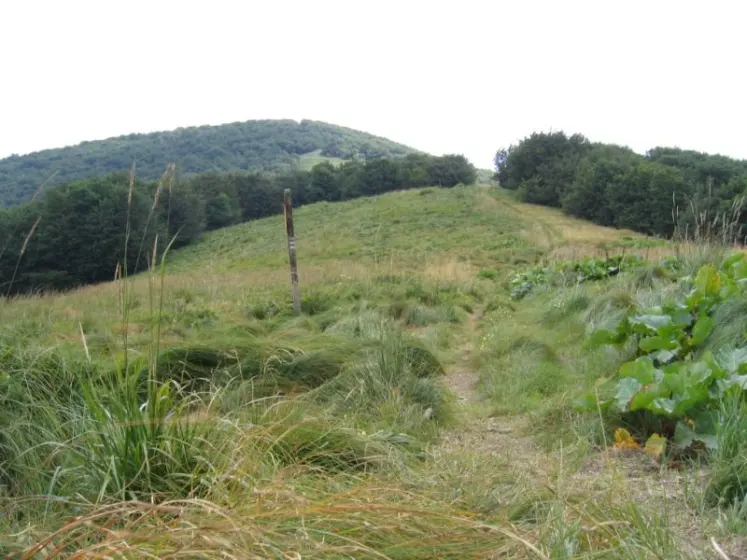 Bieszczady 2007 – Rabia Skała – Kremenaros – Wlk. i Mł. Rawka – 29 07 2007, zdjęcie 27