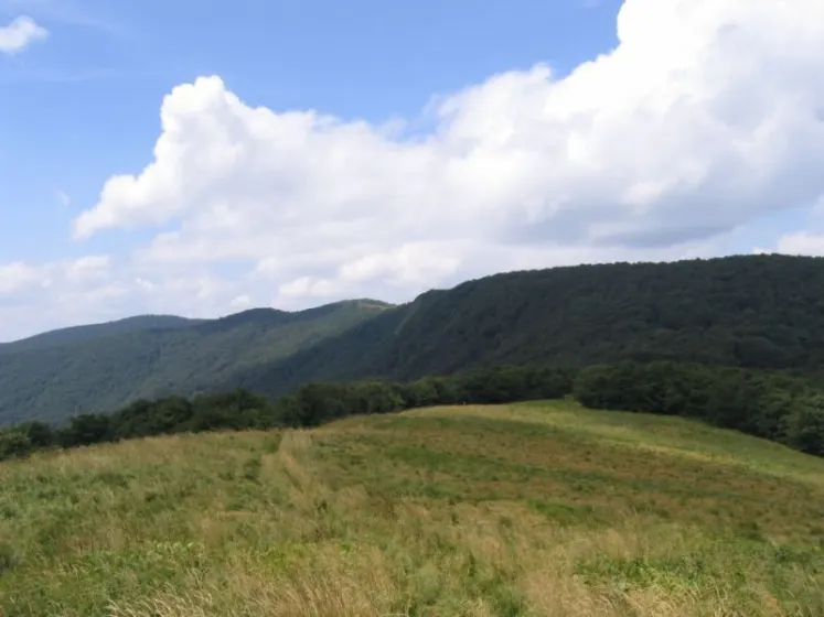 Bieszczady 2007 – Rabia Skała – Kremenaros – Wlk. i Mł. Rawka – 29 07 2007, zdjęcie 29