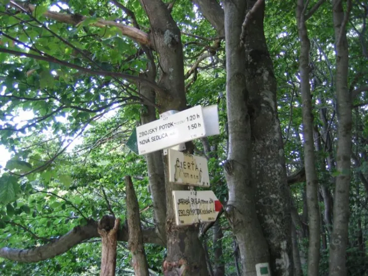 Bieszczady 2007 – Rabia Skała – Kremenaros – Wlk. i Mł. Rawka – 29 07 2007, zdjęcie 34