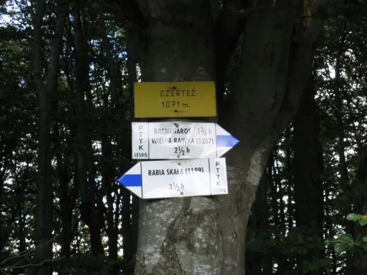 Bieszczady 2007 – Rabia Skała – Kremenaros – Wlk. i Mł. Rawka – 29 07 2007, zdjęcie 35