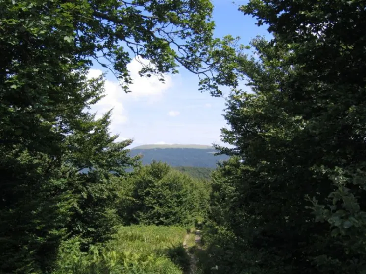 Bieszczady 2007 – Rabia Skała – Kremenaros – Wlk. i Mł. Rawka – 29 07 2007, zdjęcie 38