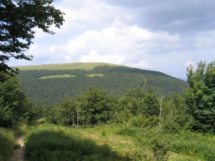Bieszczady 2007 – Rabia Skała – Kremenaros – Wlk. i Mł. Rawka – 29 07 2007, zdjęcie 43