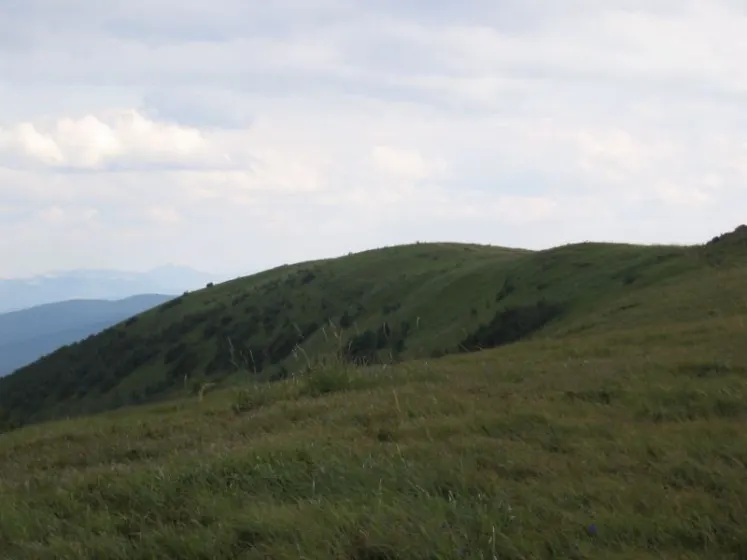 Bieszczady 2007 – Rabia Skała – Kremenaros – Wlk. i Mł. Rawka – 29 07 2007, zdjęcie 71