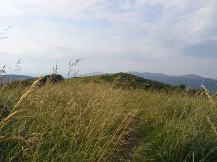 Bieszczady 2007 – Rabia Skała – Kremenaros – Wlk. i Mł. Rawka – 29 07 2007, zdjęcie 84