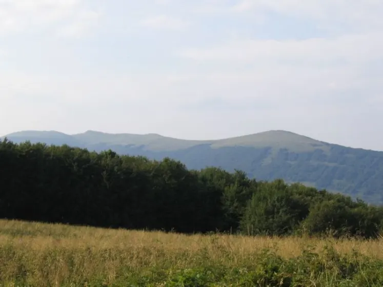 Bieszczady 2007 – Rabia Skała – Kremenaros – Wlk. i Mł. Rawka – 29 07 2007, zdjęcie 86