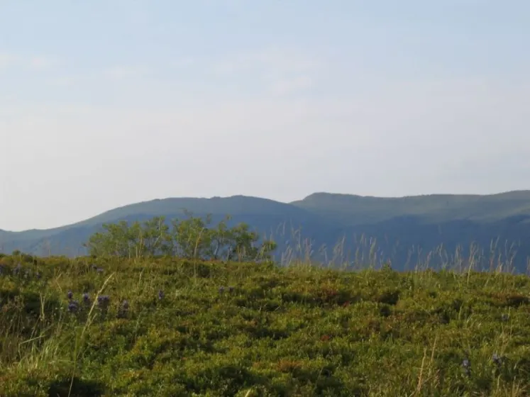 Bieszczady 2007 – Rabia Skała – Kremenaros – Wlk. i Mł. Rawka – 29 07 2007, zdjęcie 93