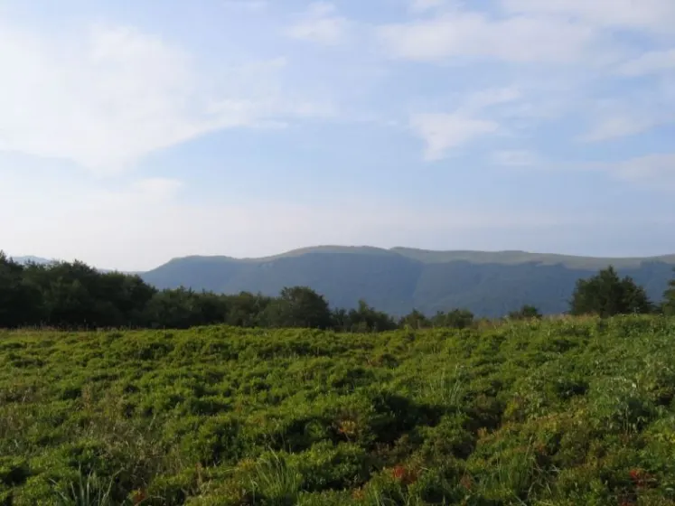 Bieszczady 2007 – Rabia Skała – Kremenaros – Wlk. i Mł. Rawka – 29 07 2007, zdjęcie 96