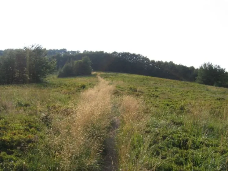 Bieszczady 2007 – Rabia Skała – Kremenaros – Wlk. i Mł. Rawka – 29 07 2007, zdjęcie 98