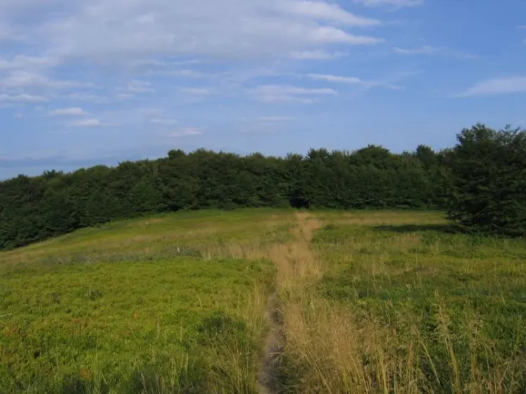 Bieszczady 2007 – Rabia Skała – Kremenaros – Wlk. i Mł. Rawka – 29 07 2007, zdjęcie 99