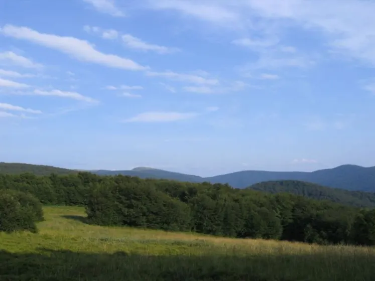 Bieszczady 2007 – Rabia Skała – Kremenaros – Wlk. i Mł. Rawka – 29 07 2007, zdjęcie 100