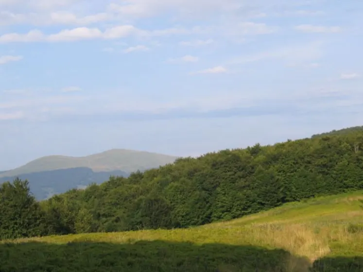Bieszczady 2007 – Rabia Skała – Kremenaros – Wlk. i Mł. Rawka – 29 07 2007, zdjęcie 101