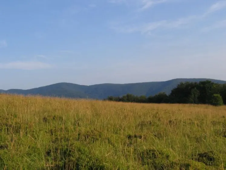 Bieszczady 2007 – Rabia Skała – Kremenaros – Wlk. i Mł. Rawka – 29 07 2007, zdjęcie 104