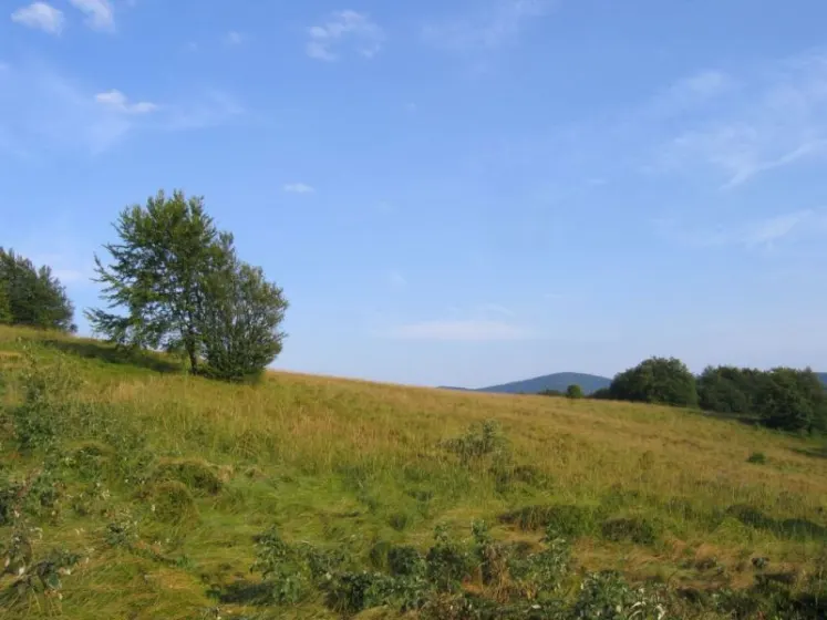 Bieszczady 2007 – Rabia Skała – Kremenaros – Wlk. i Mł. Rawka – 29 07 2007, zdjęcie 105