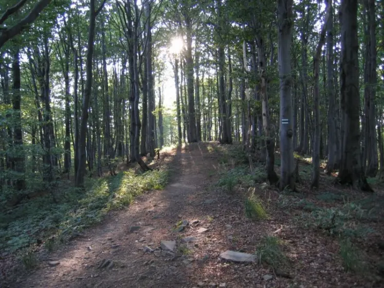 Bieszczady 2007 – Rabia Skała – Kremenaros – Wlk. i Mł. Rawka – 29 07 2007, zdjęcie 107