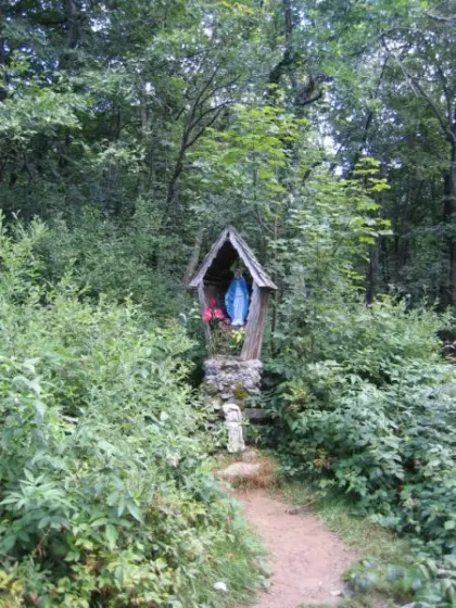 Bieszczady 2007 – Ustrzyki G. – Połonina Caryńska – Połonina Wetlińska – 30 07 2007, zdjęcie 4