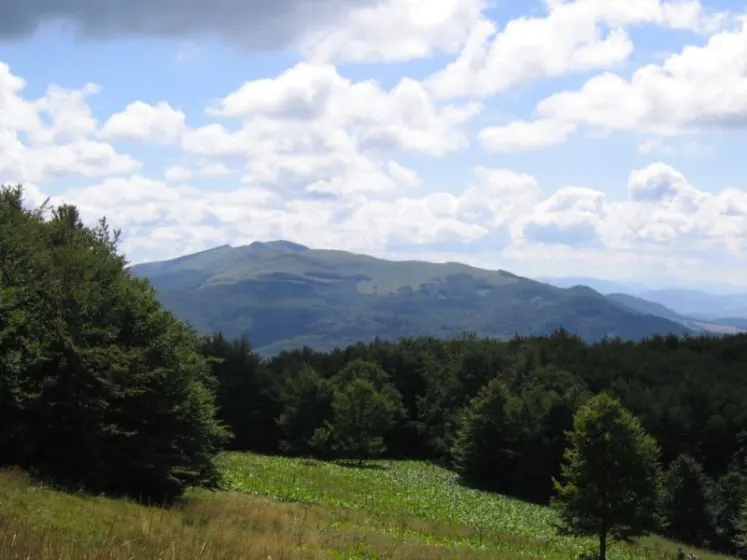 Bieszczady 2007 – Ustrzyki G. – Połonina Caryńska – Połonina Wetlińska – 30 07 2007, zdjęcie 6