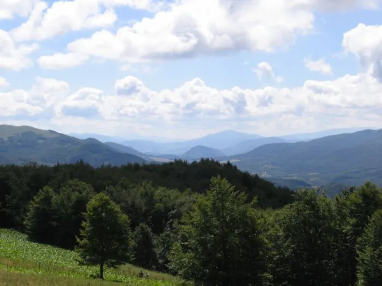 Bieszczady 2007 – Ustrzyki G. – Połonina Caryńska – Połonina Wetlińska – 30 07 2007, zdjęcie 7