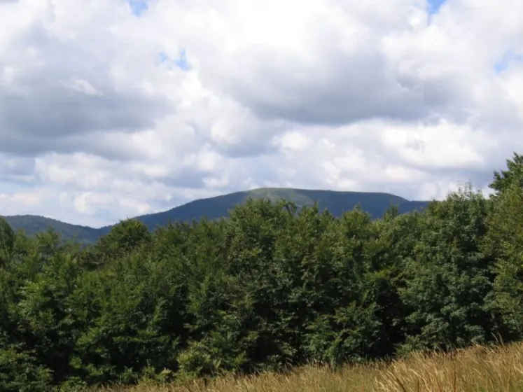Bieszczady 2007 – Ustrzyki G. – Połonina Caryńska – Połonina Wetlińska – 30 07 2007, zdjęcie 8