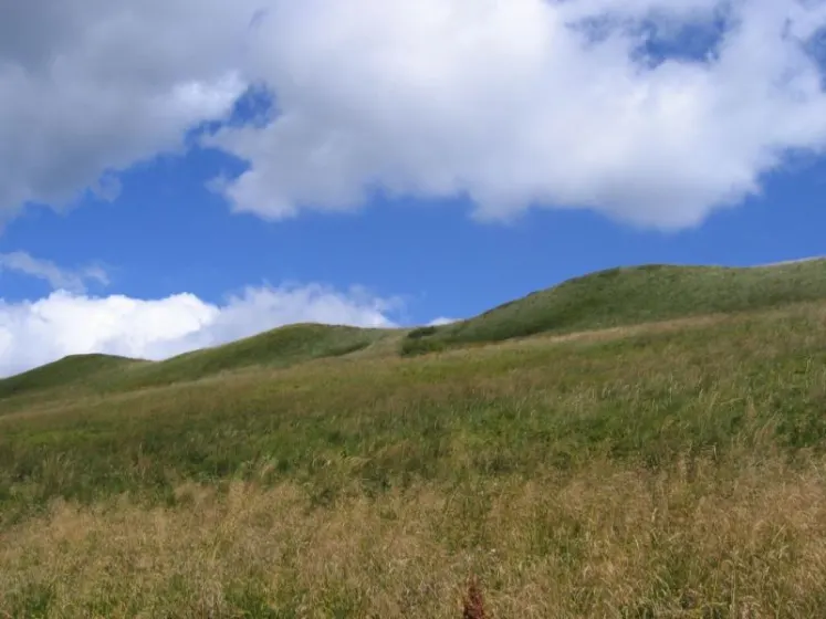 Bieszczady 2007 – Ustrzyki G. – Połonina Caryńska – Połonina Wetlińska – 30 07 2007, zdjęcie 12