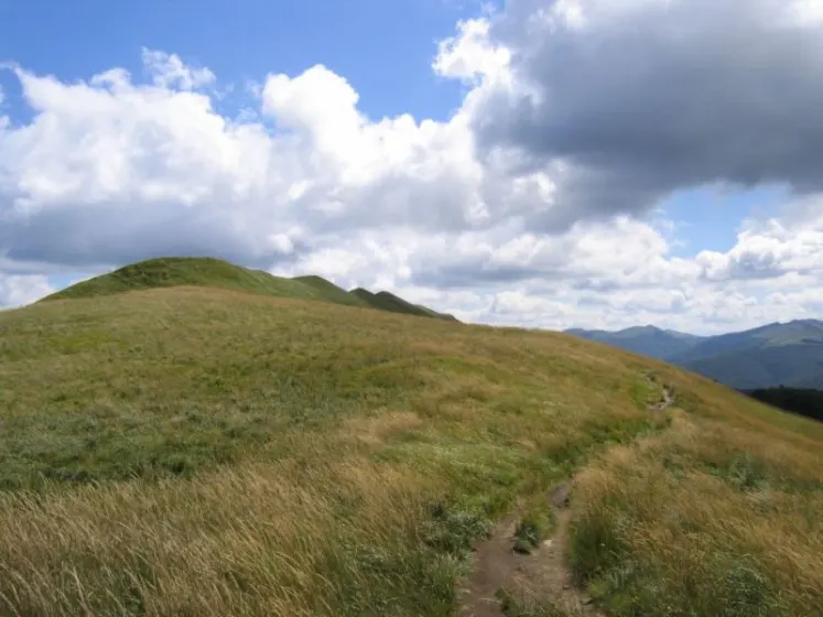 Bieszczady 2007 – Ustrzyki G. – Połonina Caryńska – Połonina Wetlińska – 30 07 2007, zdjęcie 14