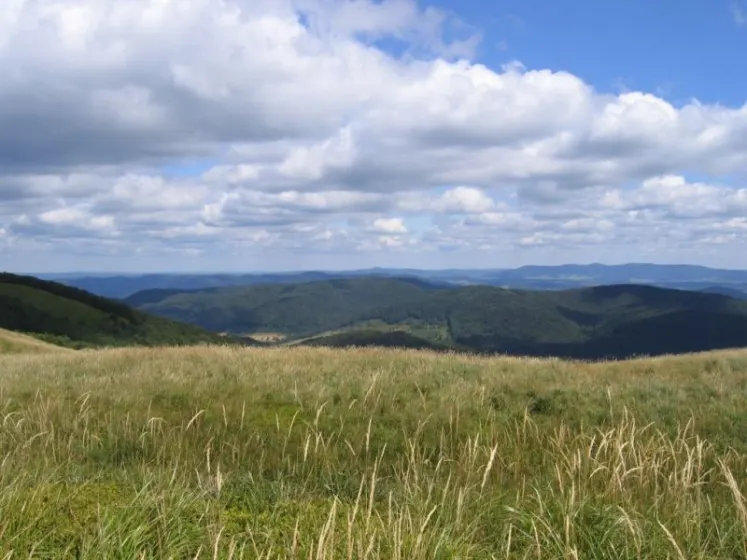 Bieszczady 2007 – Ustrzyki G. – Połonina Caryńska – Połonina Wetlińska – 30 07 2007, zdjęcie 16