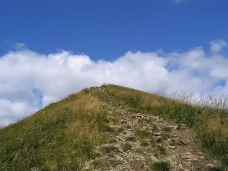 Bieszczady 2007 – Ustrzyki G. – Połonina Caryńska – Połonina Wetlińska – 30 07 2007, zdjęcie 20