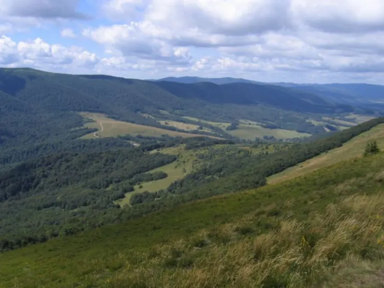 Bieszczady 2007 – Ustrzyki G. – Połonina Caryńska – Połonina Wetlińska – 30 07 2007, zdjęcie 27