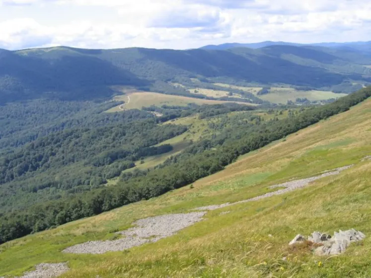 Bieszczady 2007 – Ustrzyki G. – Połonina Caryńska – Połonina Wetlińska – 30 07 2007, zdjęcie 31