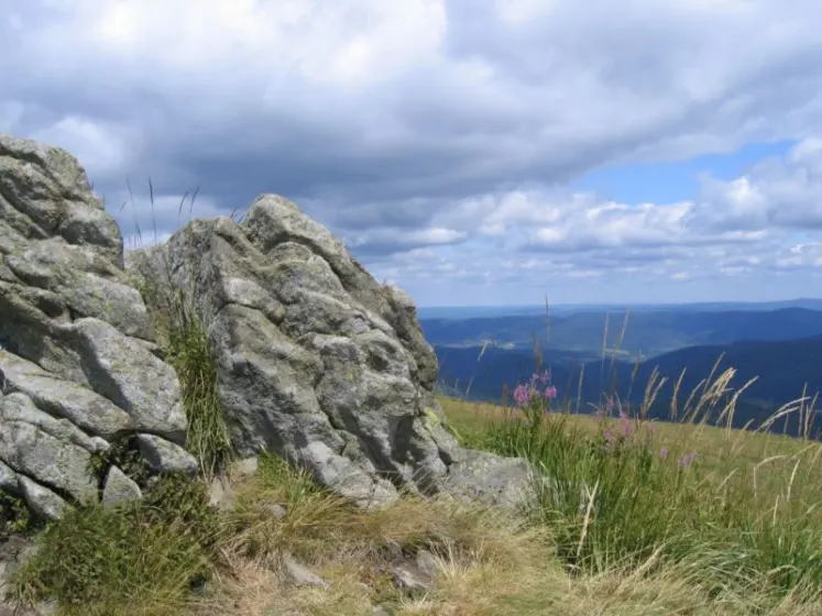 Bieszczady 2007 – Ustrzyki G. – Połonina Caryńska – Połonina Wetlińska – 30 07 2007, zdjęcie 33