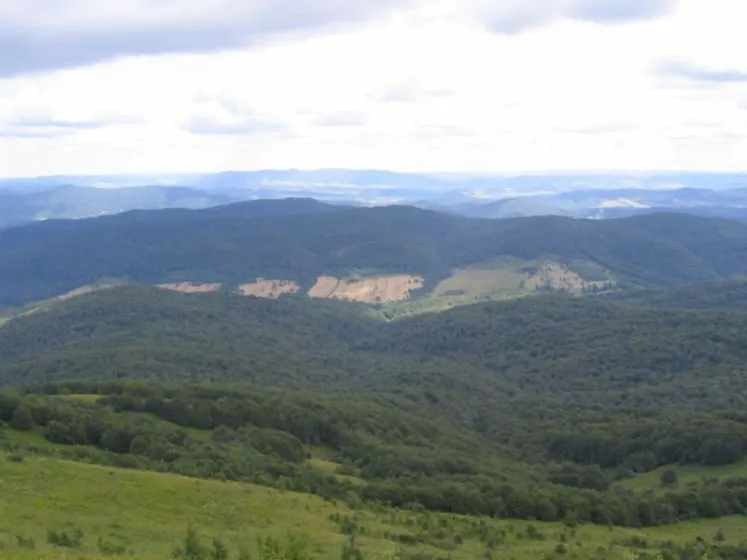 Bieszczady 2007 – Ustrzyki G. – Połonina Caryńska – Połonina Wetlińska – 30 07 2007, zdjęcie 40