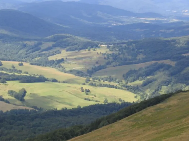 Bieszczady 2007 – Ustrzyki G. – Połonina Caryńska – Połonina Wetlińska – 30 07 2007, zdjęcie 52