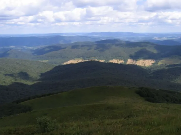 Bieszczady 2007 – Ustrzyki G. – Połonina Caryńska – Połonina Wetlińska – 30 07 2007, zdjęcie 54