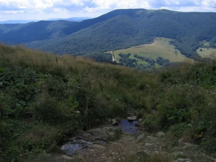 Bieszczady 2007 – Ustrzyki G. – Połonina Caryńska – Połonina Wetlińska – 30 07 2007, zdjęcie 62