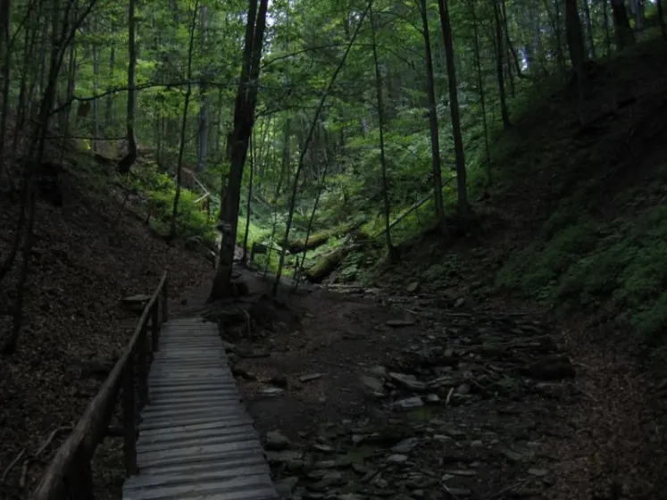 Bieszczady 2007 – Ustrzyki G. – Połonina Caryńska – Połonina Wetlińska – 30 07 2007, zdjęcie 66