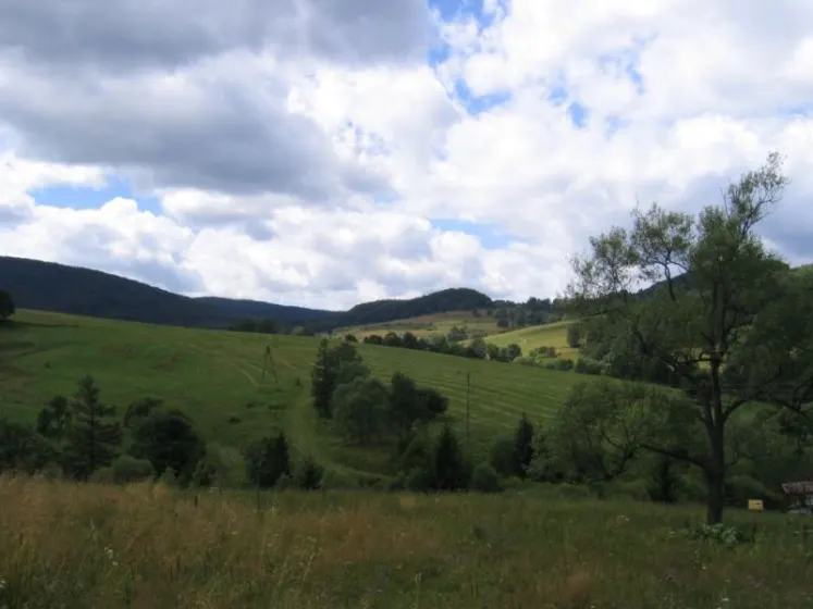 Bieszczady 2007 – Ustrzyki G. – Połonina Caryńska – Połonina Wetlińska – 30 07 2007, zdjęcie 68