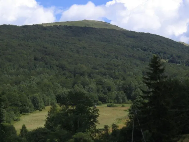Bieszczady 2007 – Ustrzyki G. – Połonina Caryńska – Połonina Wetlińska – 30 07 2007, zdjęcie 72