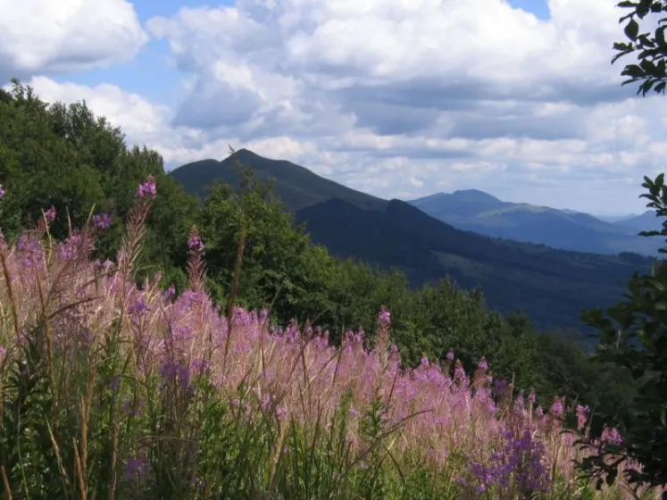 Bieszczady 2007 – Ustrzyki G. – Połonina Caryńska – Połonina Wetlińska – 30 07 2007, zdjęcie 76