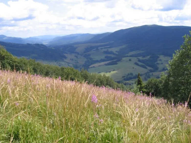 Bieszczady 2007 – Ustrzyki G. – Połonina Caryńska – Połonina Wetlińska – 30 07 2007, zdjęcie 77