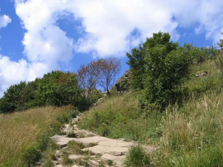 Bieszczady 2007 – Ustrzyki G. – Połonina Caryńska – Połonina Wetlińska – 30 07 2007, zdjęcie 78