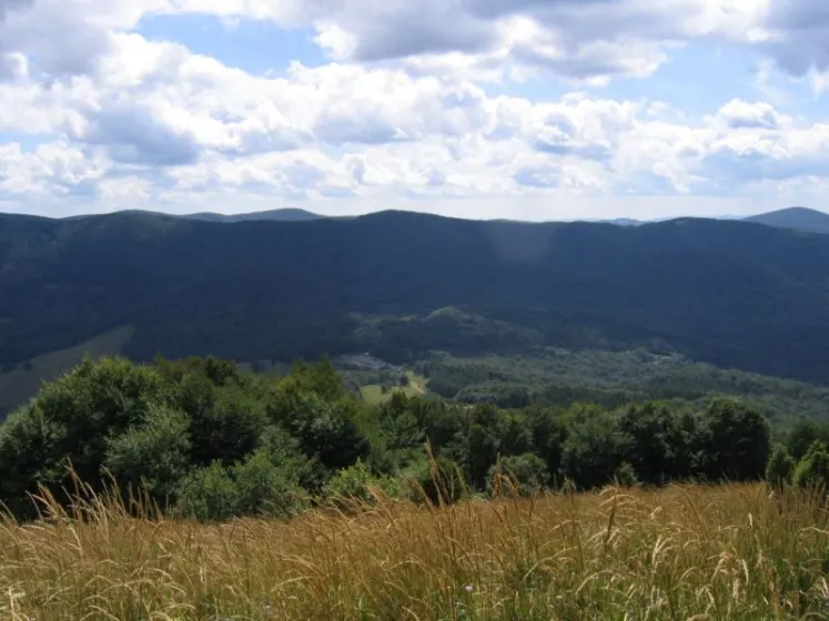 Bieszczady 2007 – Ustrzyki G. – Połonina Caryńska – Połonina Wetlińska – 30 07 2007, zdjęcie 80