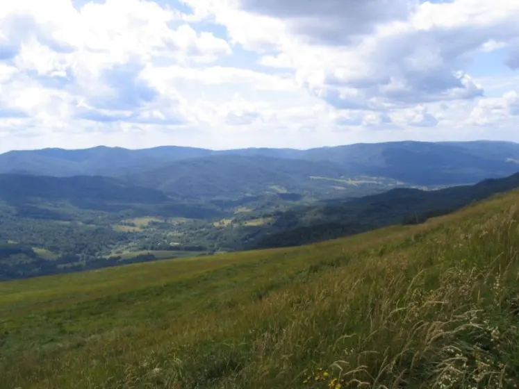 Bieszczady 2007 – Ustrzyki G. – Połonina Caryńska – Połonina Wetlińska – 30 07 2007, zdjęcie 84