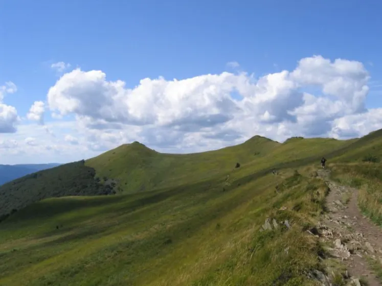 Bieszczady 2007 – Ustrzyki G. – Połonina Caryńska – Połonina Wetlińska – 30 07 2007, zdjęcie 90