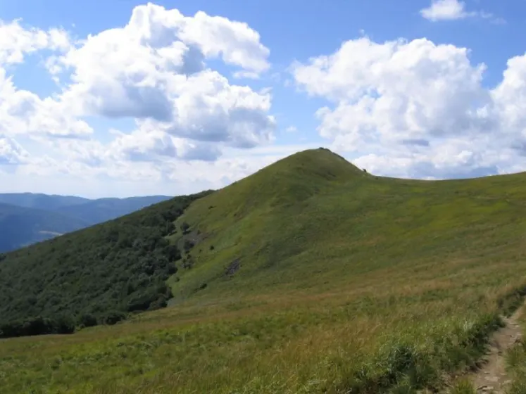 Bieszczady 2007 – Ustrzyki G. – Połonina Caryńska – Połonina Wetlińska – 30 07 2007, zdjęcie 93