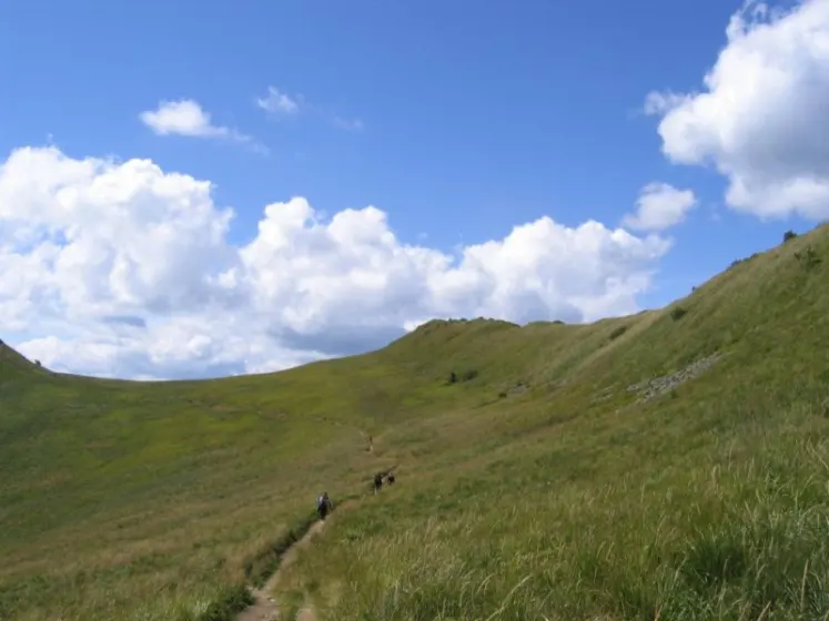 Bieszczady 2007 – Ustrzyki G. – Połonina Caryńska – Połonina Wetlińska – 30 07 2007, zdjęcie 94