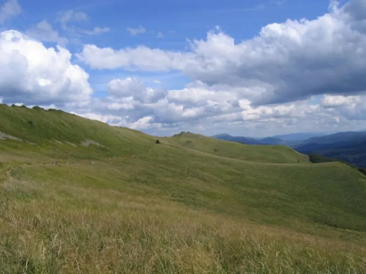 Bieszczady 2007 – Ustrzyki G. – Połonina Caryńska – Połonina Wetlińska – 30 07 2007, zdjęcie 95