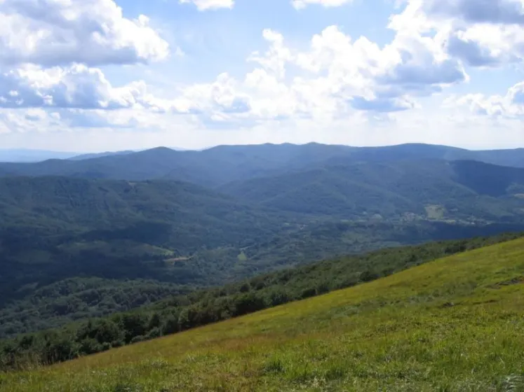 Bieszczady 2007 – Ustrzyki G. – Połonina Caryńska – Połonina Wetlińska – 30 07 2007, zdjęcie 102