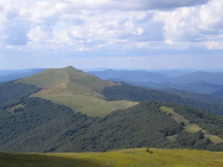 Bieszczady 2007 – Ustrzyki G. – Połonina Caryńska – Połonina Wetlińska – 30 07 2007, zdjęcie 106