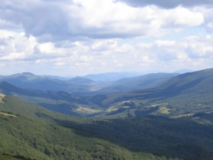 Bieszczady 2007 – Ustrzyki G. – Połonina Caryńska – Połonina Wetlińska – 30 07 2007, zdjęcie 110